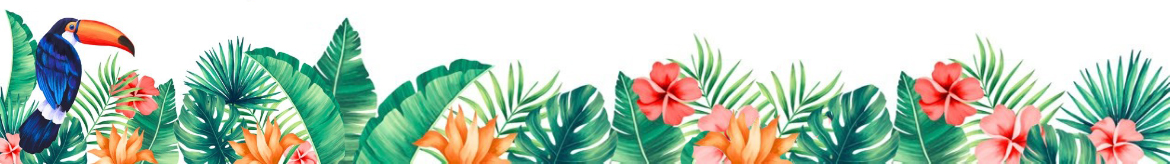 Toucan Bg